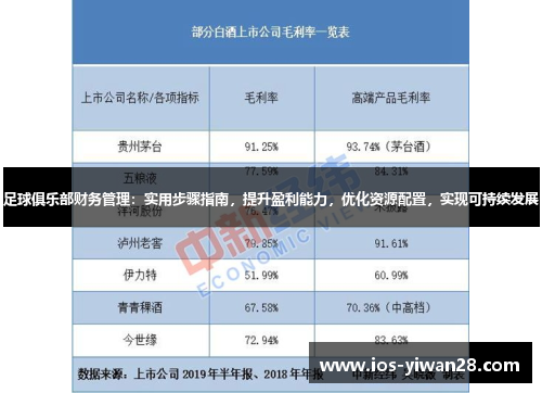 足球俱乐部财务管理:实用步骤指南,提升盈利能力,优化资源配置,实现可持续发展 足球俱乐部财务管理:实用步骤指南,提升盈利能力,优化资源配置,实现可持续发展