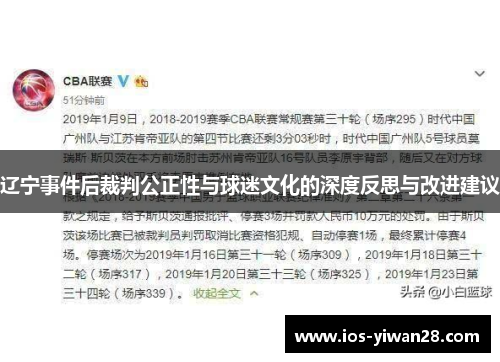 辽宁事件后裁判公正性与球迷文化的深度反思与改进建议 辽宁事件后裁判公正性与球迷文化的深度反思与改进建议